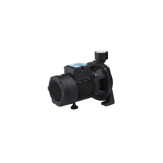 Насос поверхневий Pumpman TGA1C 0,75 кВт