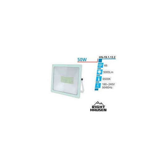 Прожектор RIGHT HOUSEN SOFT LED 50W білий