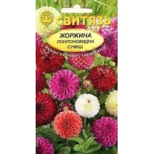 ► Насіння "Жоржина помпоновидна суміш", 0,3г • Краща ціна в Борисполі, Воронькові • Купити в магазині ПРО100БУД