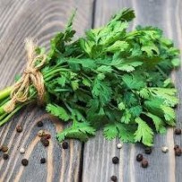► Насіння пр."Корiандр", 3г • Краща ціна в Борисполі, Воронькові • Купити в магазині ПРО100БУД
