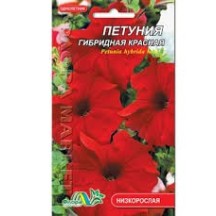 ► Насіння "Петунія гібридна червона", 0,1г • Краща ціна в Борисполі, Воронькові • Купити в магазині ПРО100БУД