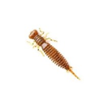 ► Приманка Fanatik Larva 2 №002 • Краща ціна в Борисполі, Воронькові • Купити в магазині ПРО100БУД