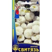 ► Насіння "Стокротка біла " 0,1 г • Краща ціна в Борисполі, Воронькові • Купити в магазині ПРО100БУД
