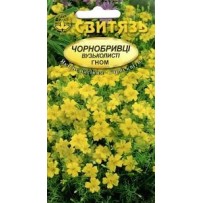 Насіння "Чорнобривці вузьколисті Гном", 0,2г