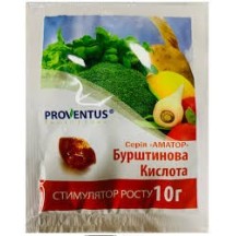 Бурштинова кислота 10 г
