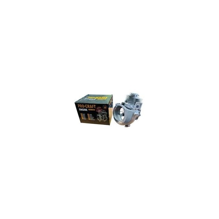 Двигун мотокоси PROCRAFT 43CC