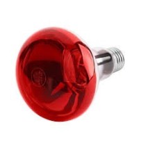 Лампочка інфрачервона E27 150W