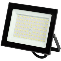 Прожектор ENERLIGHT ACCENT 100Вт 6500К