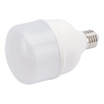 Лампа BIOM Т80 30W E27