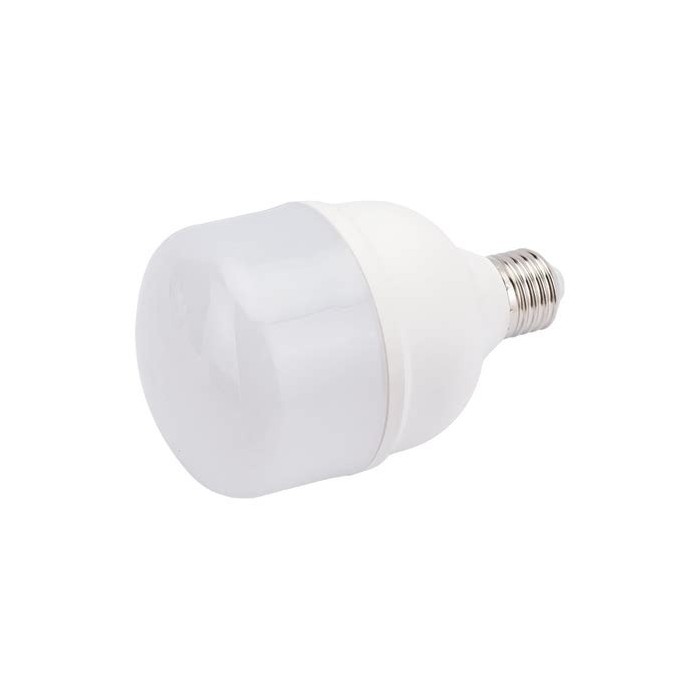 Лампа BIOM Т80 30W E27