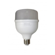 Лампа BIOM Т100 40W E27 6500К