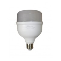 Лампа BIOM Т100 40W E27 6500К