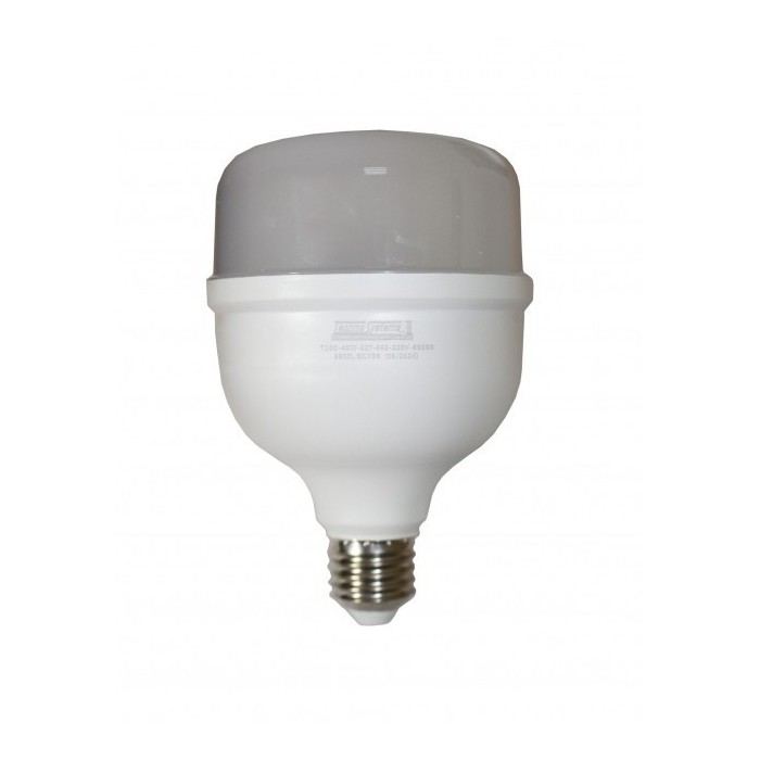 Лампа BIOM Т100 40W E27 6500К