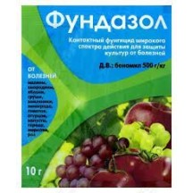► Фундазол 10 гр • Краща ціна в Борисполі, Воронькові • Купити в магазині ПРО100БУД