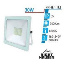 ► Прожектор RIGHT HOUSEN SOFT LED 30W білий • Краща ціна в Борисполі, Воронькові • Купити в магазині ПРО100БУД