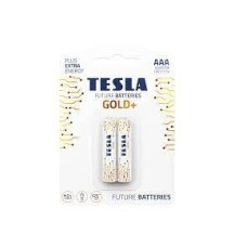 ► Батарейки TESLA GOLD LR06, 2 шт • Краща ціна в Борисполі, Воронькові • Купити в магазині ПРО100БУД