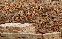 Якісні пиломатеріали у Воронькові, Ревному, Борисполі за доступною ціною